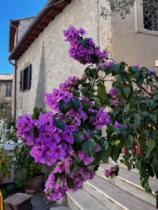 Adelaide Al Borgo. Apartment Castelnuovo Di Porto Exterior photo